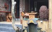 Туры в отель Bulan Bali Guest House