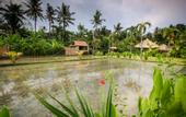 Туры в отель Keramas Sacred River Village