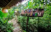 Туры в отель Keramas Sacred River Village