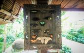 Туры в отель Keramas Sacred River Village