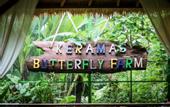 Туры в отель Keramas Sacred River Village
