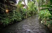 Туры в отель Keramas Sacred River Village