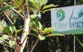 Туры в отель D'Batur Hotel Lombok