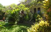 Туры в отель D'Batur Hotel Lombok