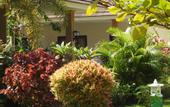 Туры в отель D'Batur Hotel Lombok