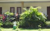 Туры в отель D'Batur Hotel Lombok