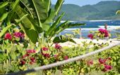 Туры в отель Segara Lombok