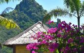 Туры в отель Segara Lombok