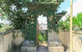 Туры в отель Ubud Chez Nyoman