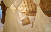 Туры в отель Wana Shanti Villa