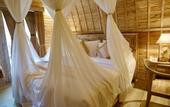 Туры в отель Wana Shanti Villa