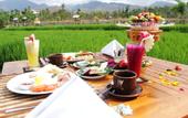 Туры в отель Umma Bali Menjangan