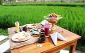 Туры в отель Umma Bali Menjangan