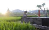 Туры в отель Umma Bali Menjangan