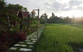Туры в отель Umma Bali Menjangan