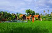 Туры в отель Umma Bali Menjangan