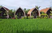 Туры в отель Umma Bali Menjangan