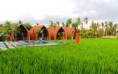 Туры в отель Umma Bali Menjangan