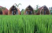 Туры в отель Umma Bali Menjangan