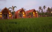 Туры в отель Umma Bali Menjangan
