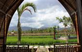 Туры в отель Umma Bali Menjangan