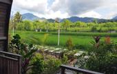 Туры в отель Umma Bali Menjangan