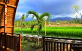 Туры в отель Umma Bali Menjangan