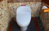 Туры в отель Umma Bali Menjangan