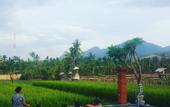 Туры в отель Umma Bali Menjangan