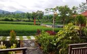 Туры в отель Umma Bali Menjangan