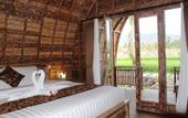 Туры в отель Umma Bali Menjangan