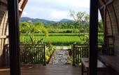 Туры в отель Umma Bali Menjangan