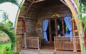 Туры в отель Umma Bali Menjangan