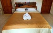 Туры в отель Binaria Museum Hotel