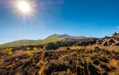 Туры в отель Latengaya Mount Batur Bungalow