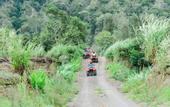 Туры в отель Latengaya Mount Batur Bungalow