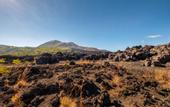 Туры в отель Latengaya Mount Batur Bungalow