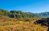 Туры в отель Latengaya Mount Batur Bungalow