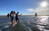 Туры в отель Wide Sands Beach Retreat