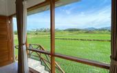 Туры в отель Wide Sands Beach Retreat