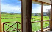 Туры в отель Wide Sands Beach Retreat