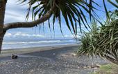 Туры в отель Wide Sands Beach Retreat