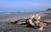 Туры в отель Wide Sands Beach Retreat