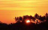 Туры в отель Wide Sands Beach Retreat