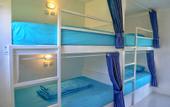 Туры в отель The Swell - Hostel - Adults Only