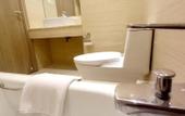 Туры в отель Louis Kienne Hotel Cikarang