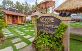 Туры в отель Batur Bamboo Cabin