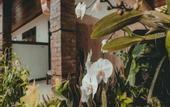 Туры в отель Sekar Arum Riverside Resort in Canggu
