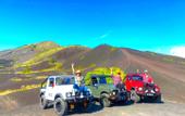 Туры в отель Tamalia House Kintamani