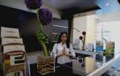 Туры в отель Sifaana Hotel